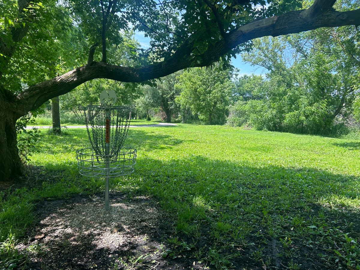 Hole 7 basket looking back toward teepad