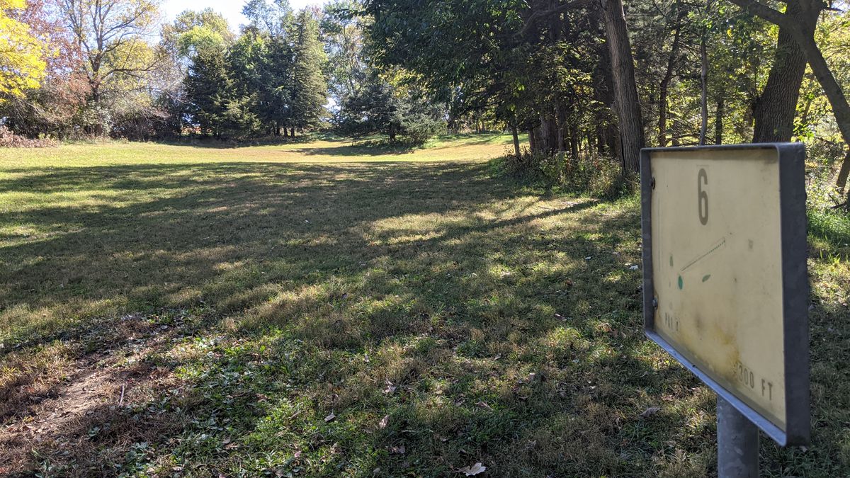 #6 Hole.  Basket is past the tallest tree.  Fairway goes right, around the pine tree.