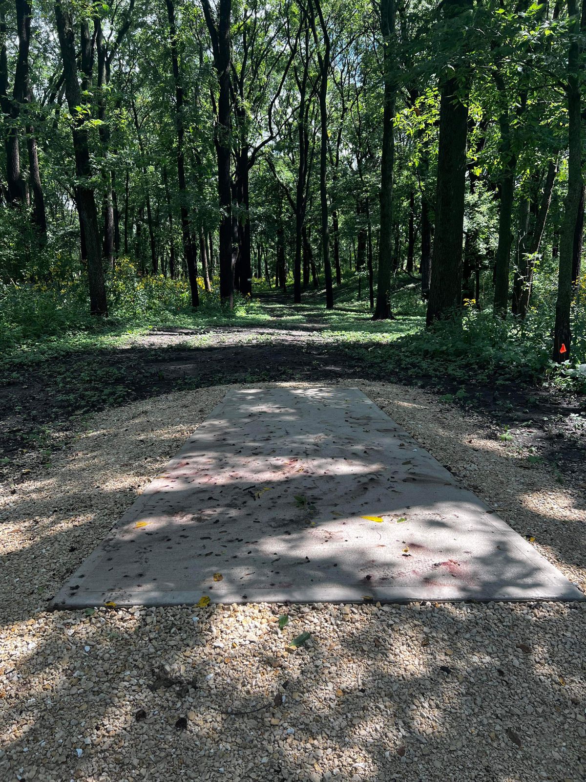 Hole 5 Blue