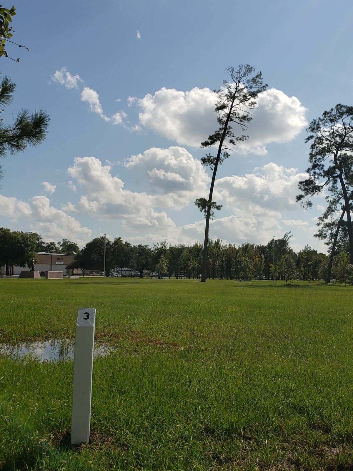 View from teepad 3 with bald eagle up in the tall tree