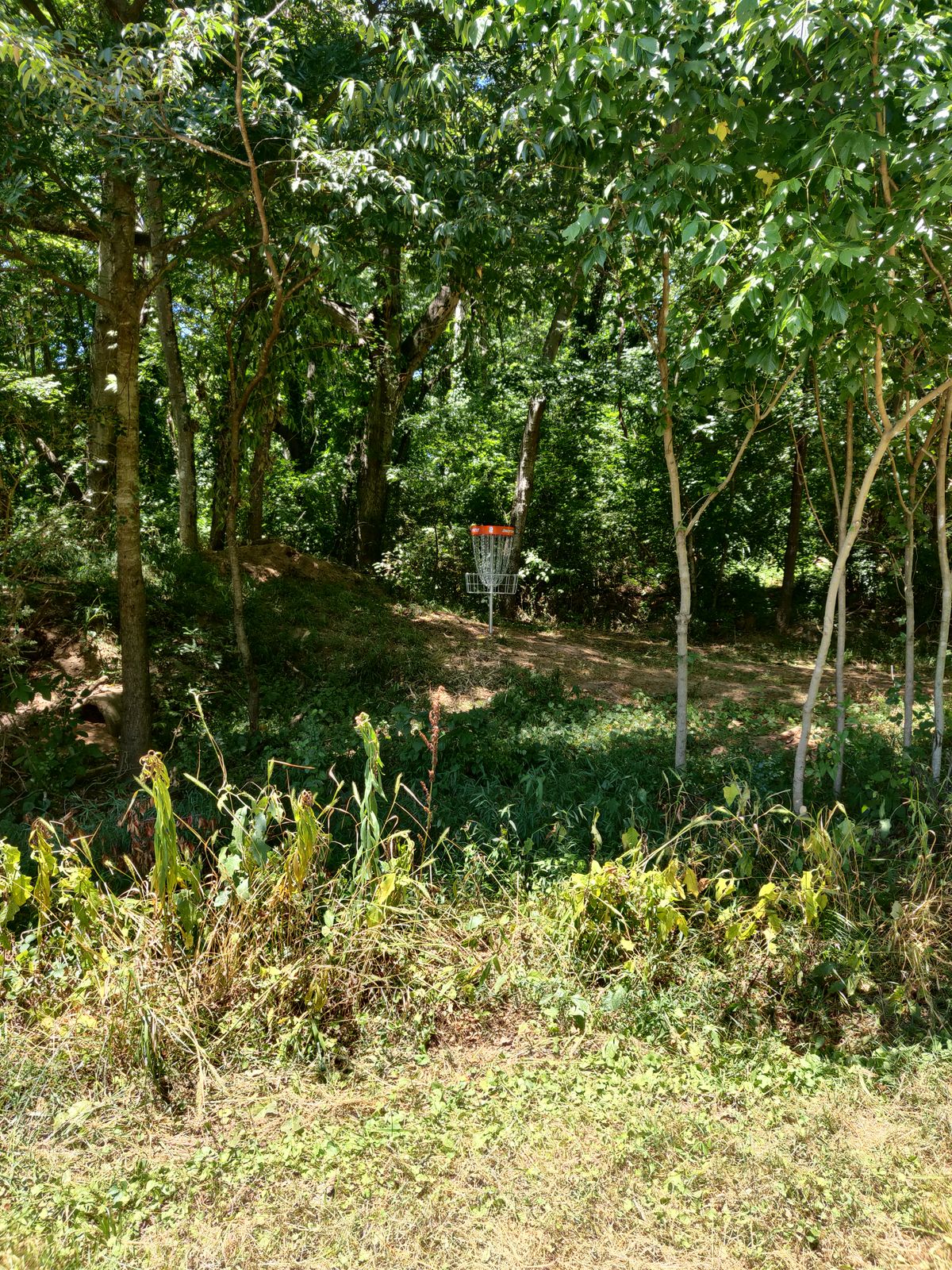 Hole 2 basket as seen from the gap in the wood line.