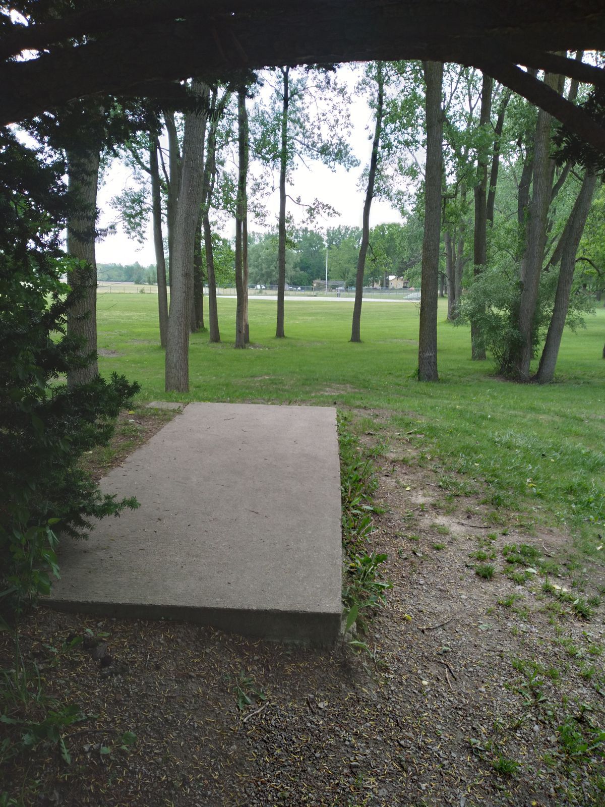#14's elevated tee box