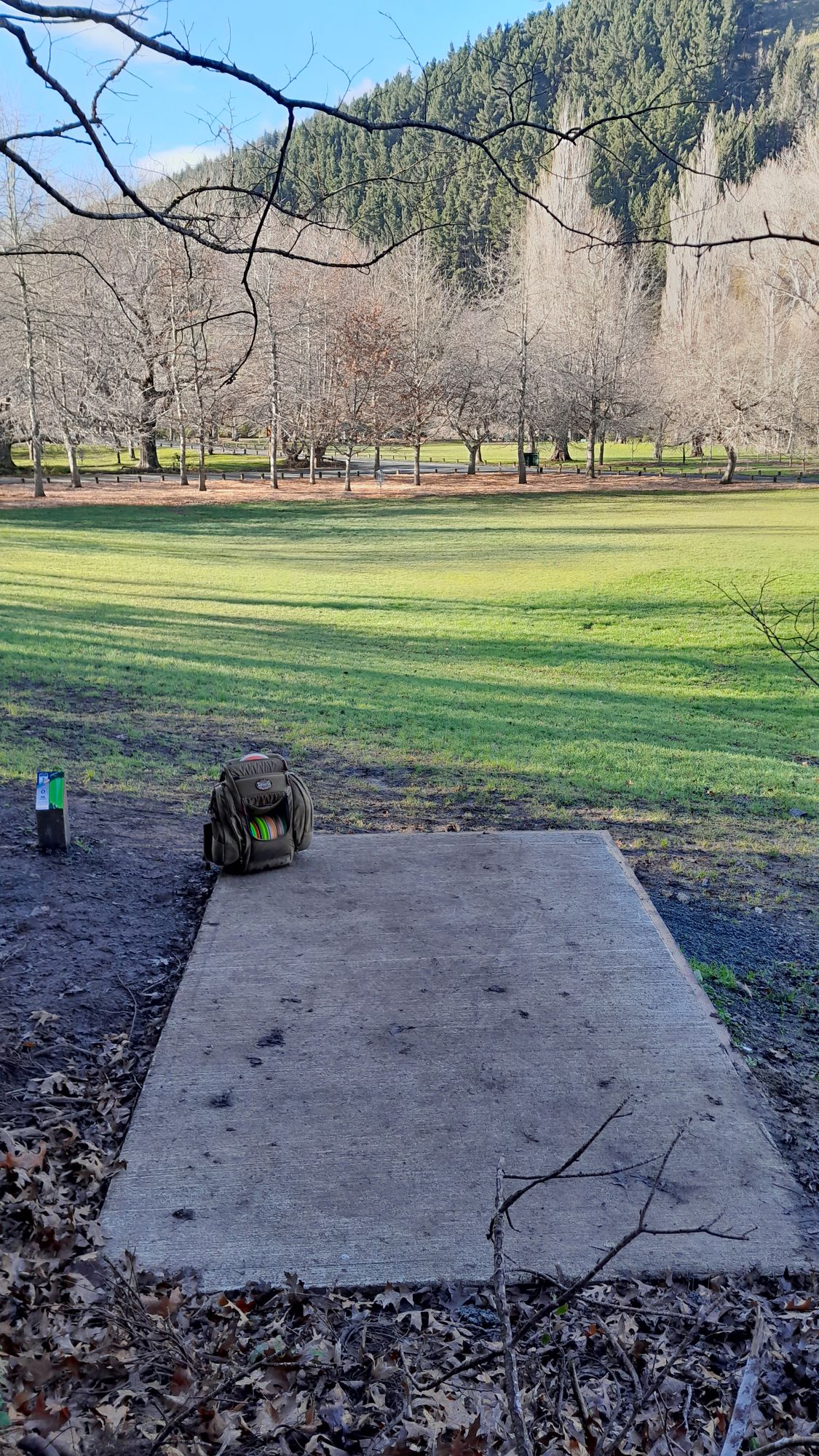 Hole 7 tee