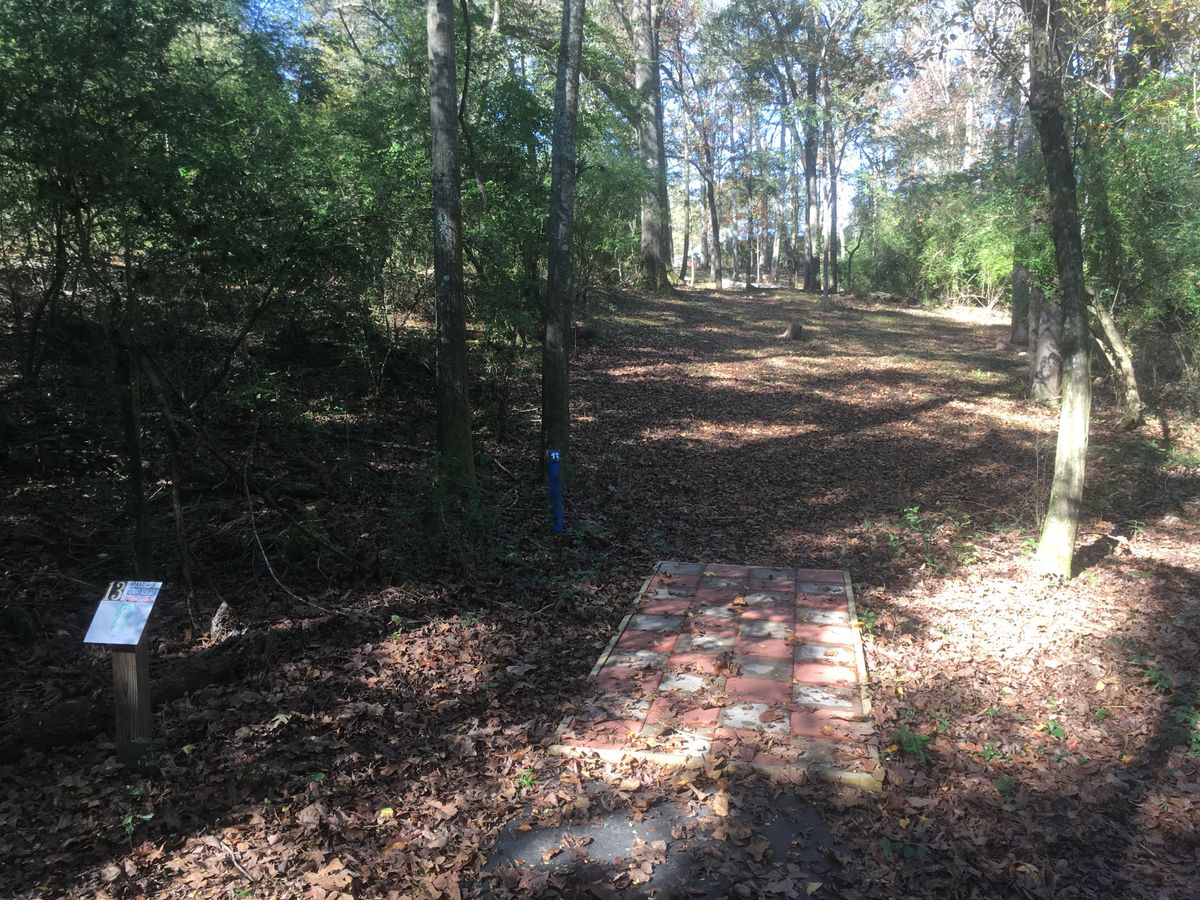 Hole 13 Tee