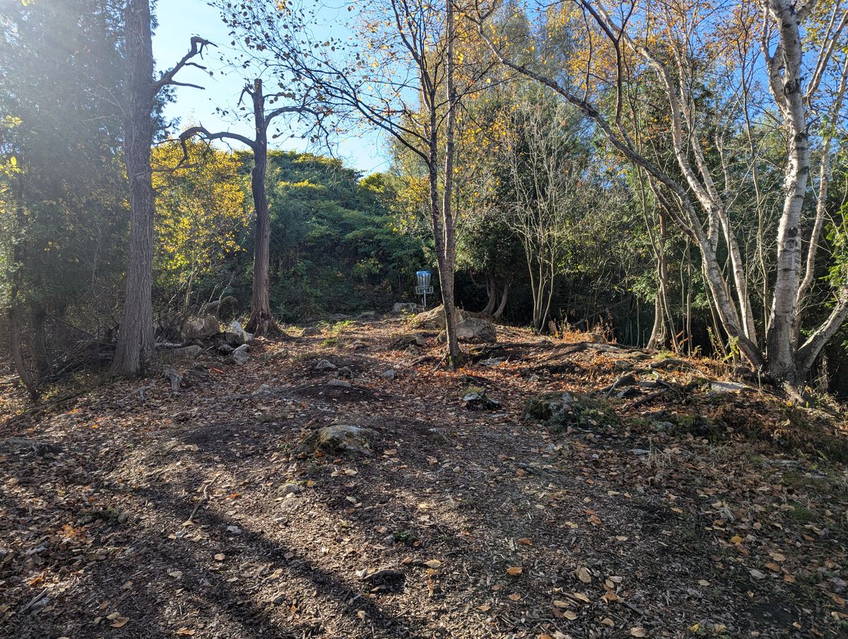 Hole 1