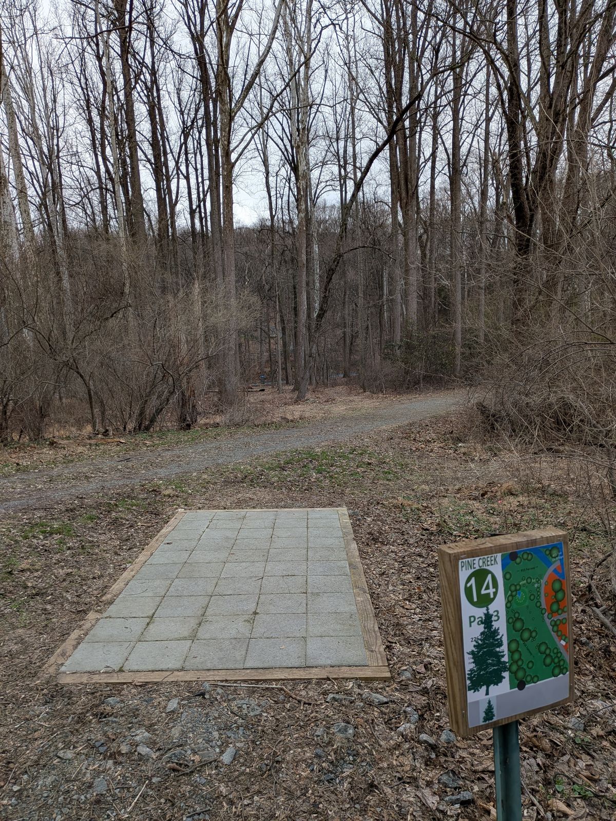 14 tee. Straight ahead to the basket.