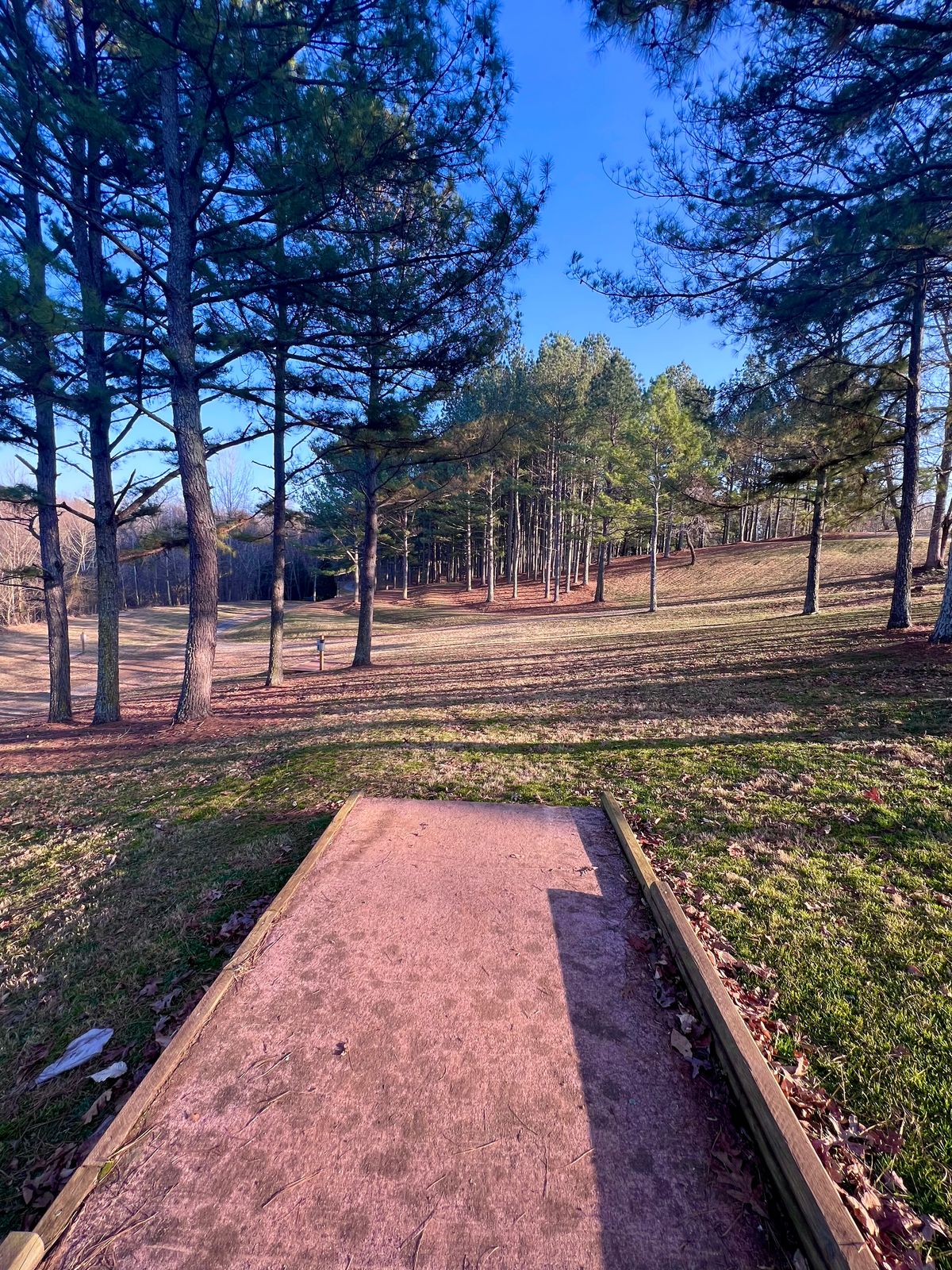 Hole 5 White Tee Pad/Fairway.