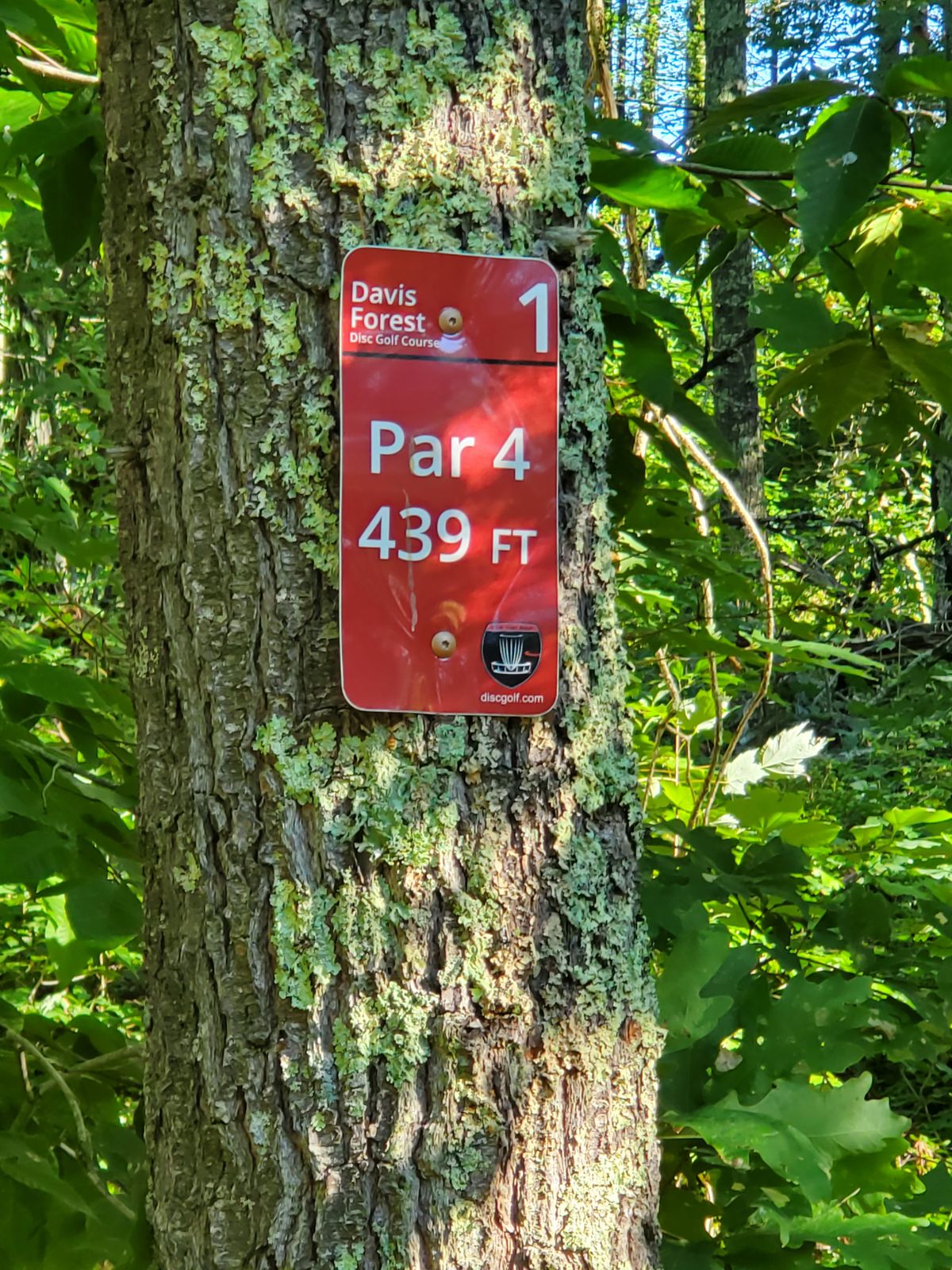 Teepad Markers