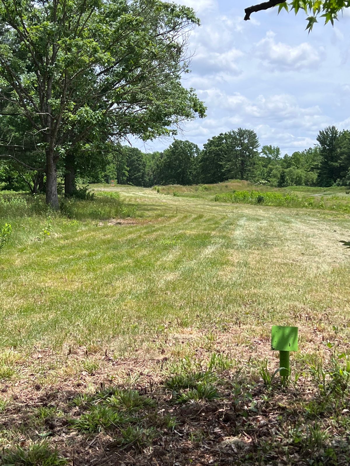 Hole 8 tee
