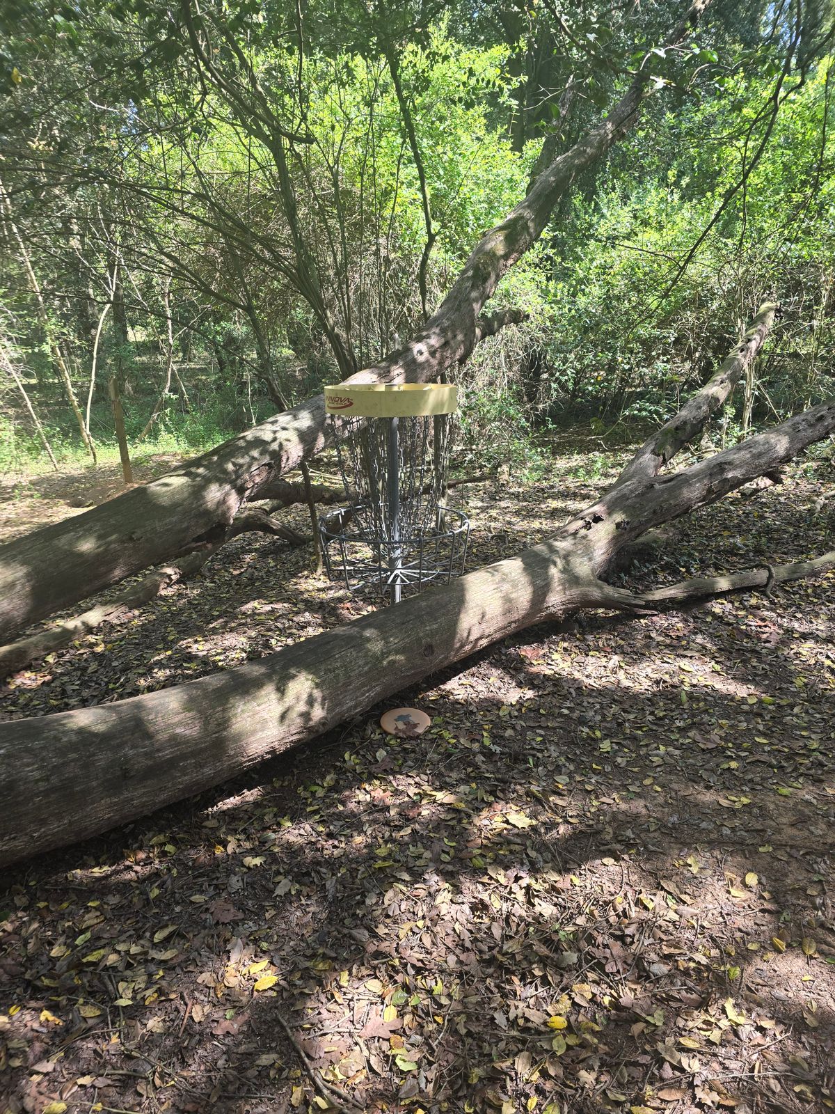 Hole 2 Basket