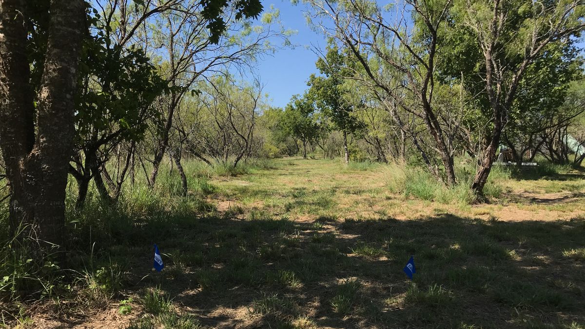Hole 7