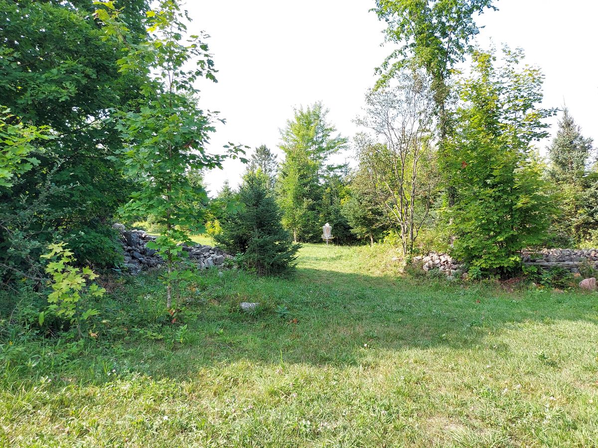 Midrange approach to 17.🍁🌳🍁🌳