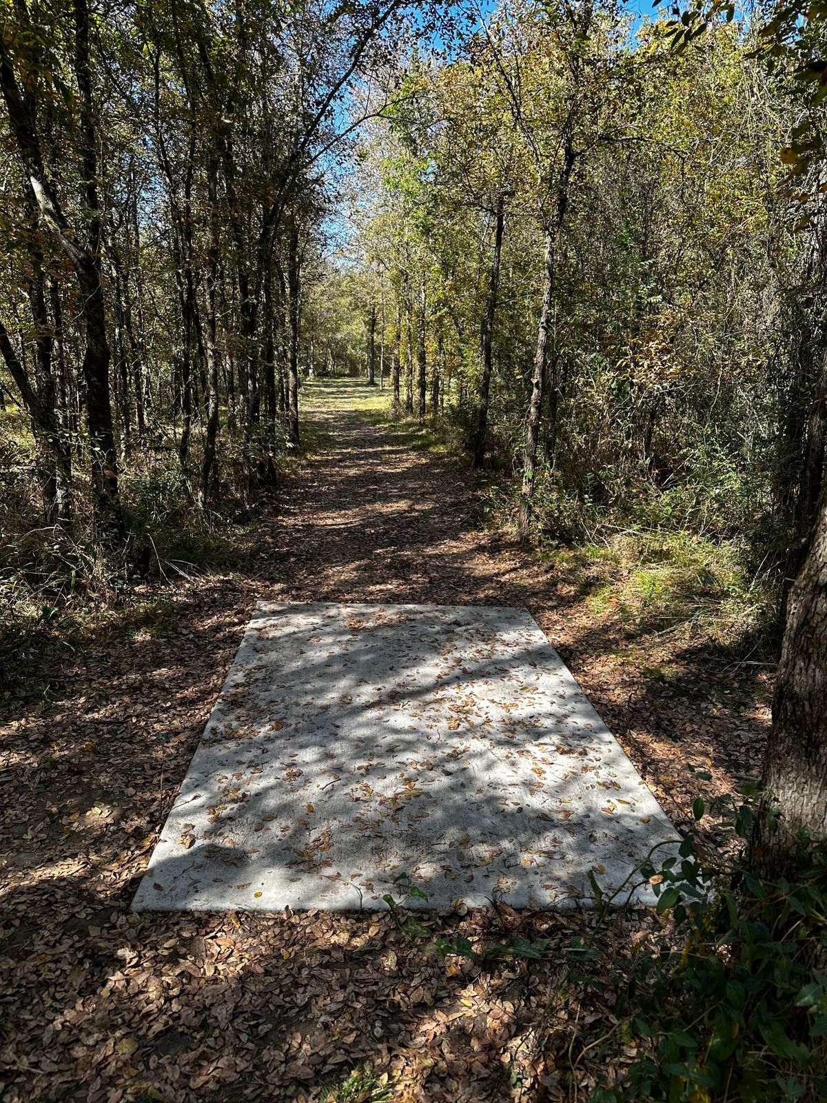 Hole 11