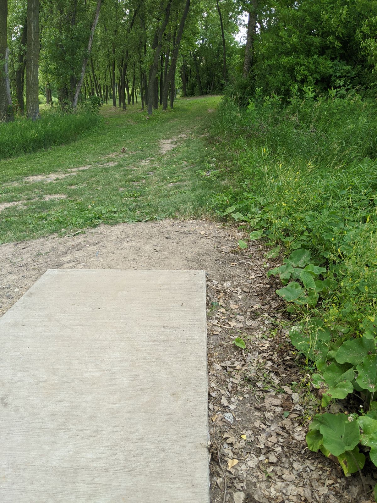 Hole 11