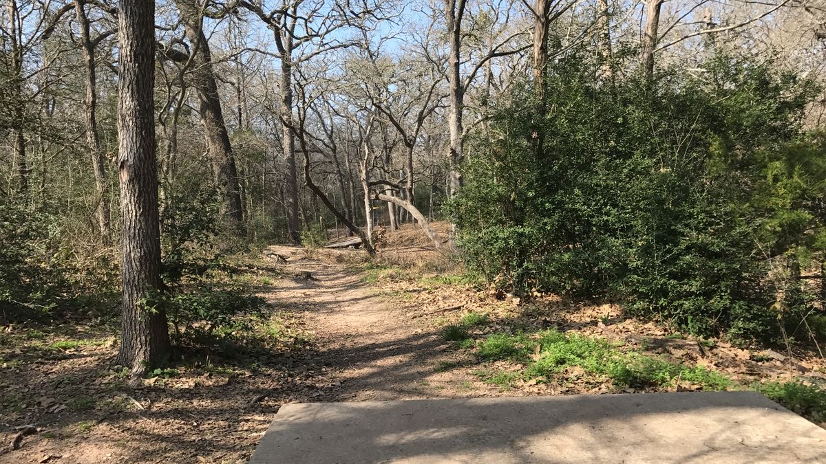 Hole 14