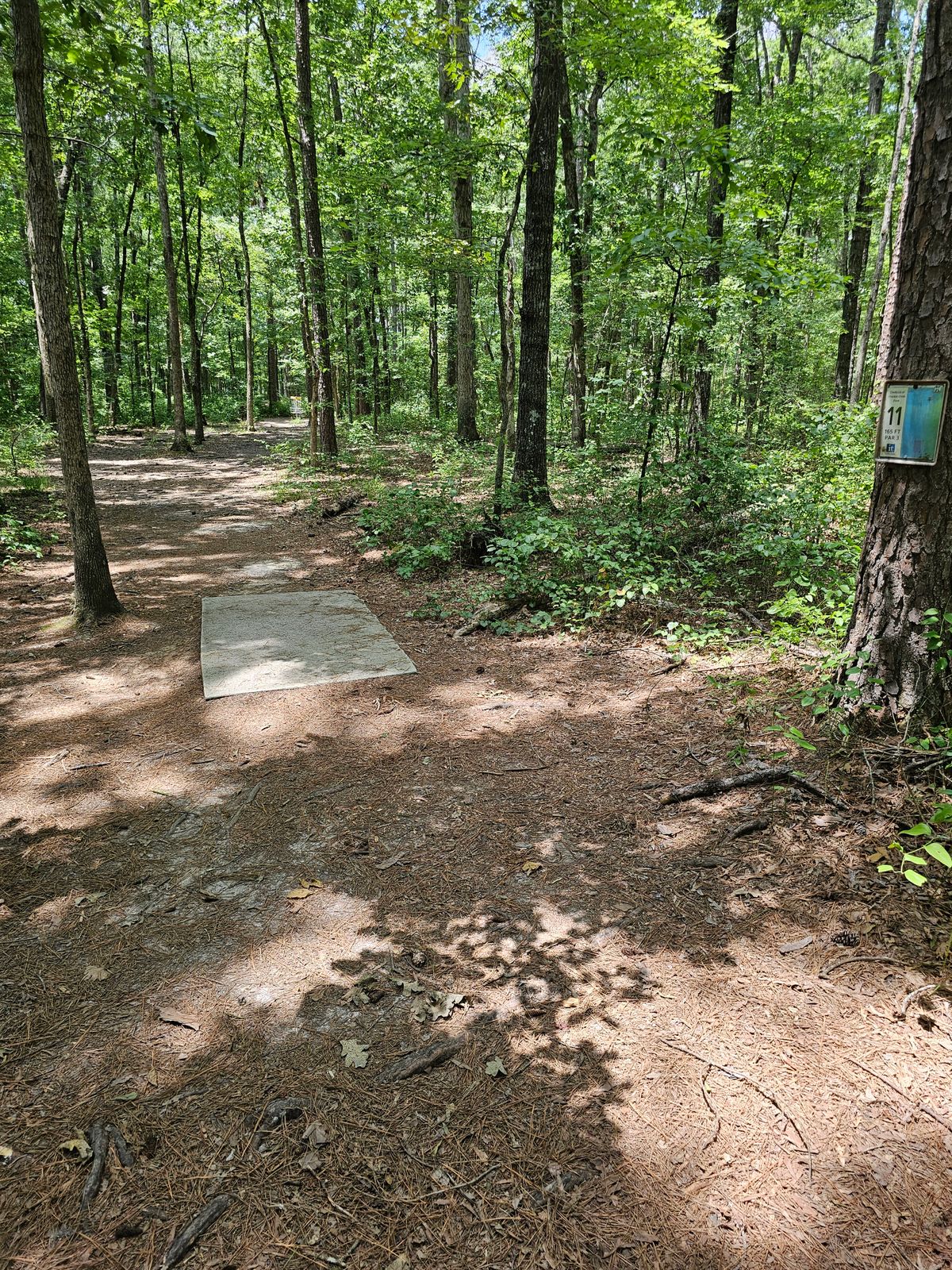 Hole 11