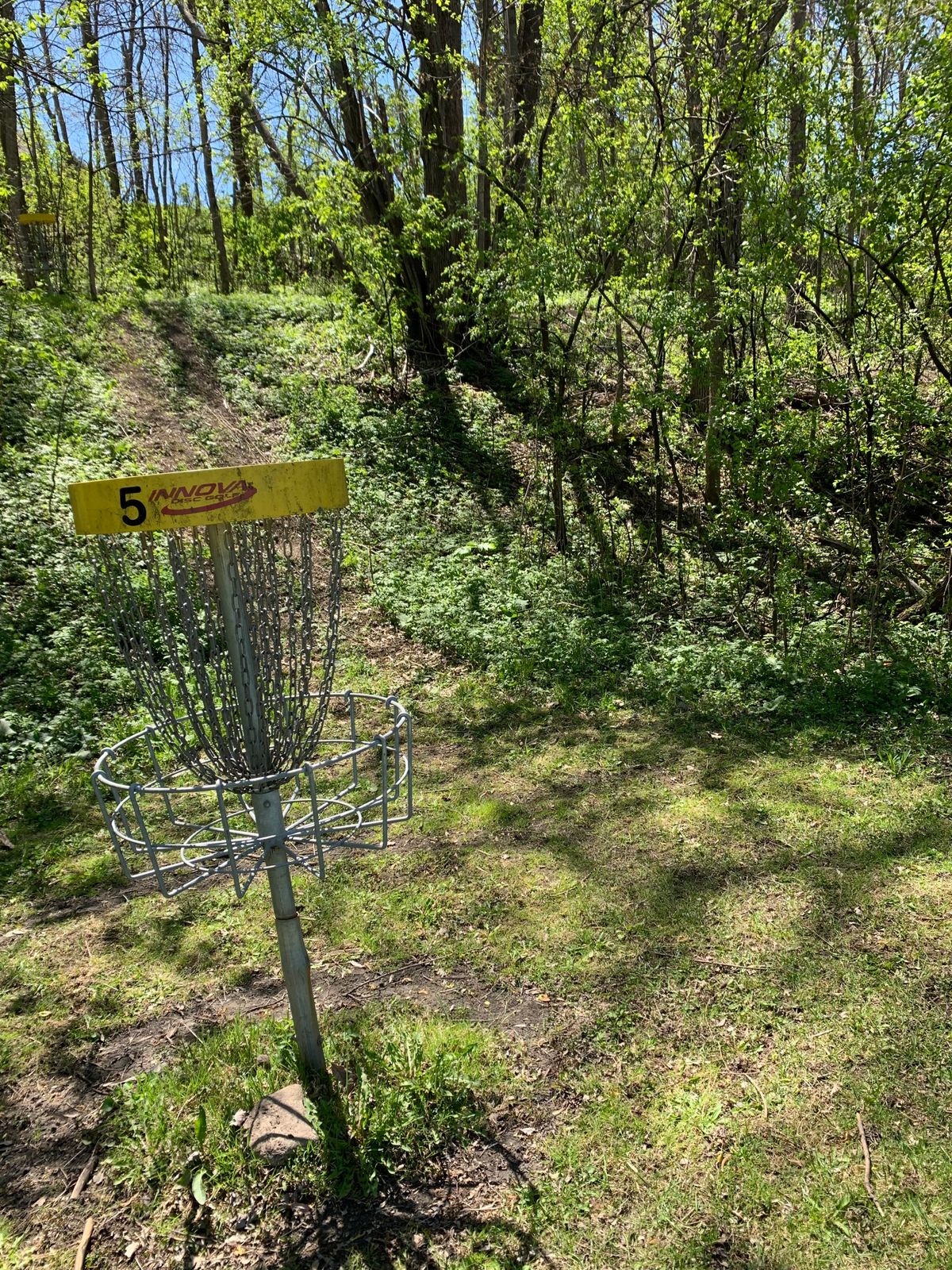 View of hole 5 basket.