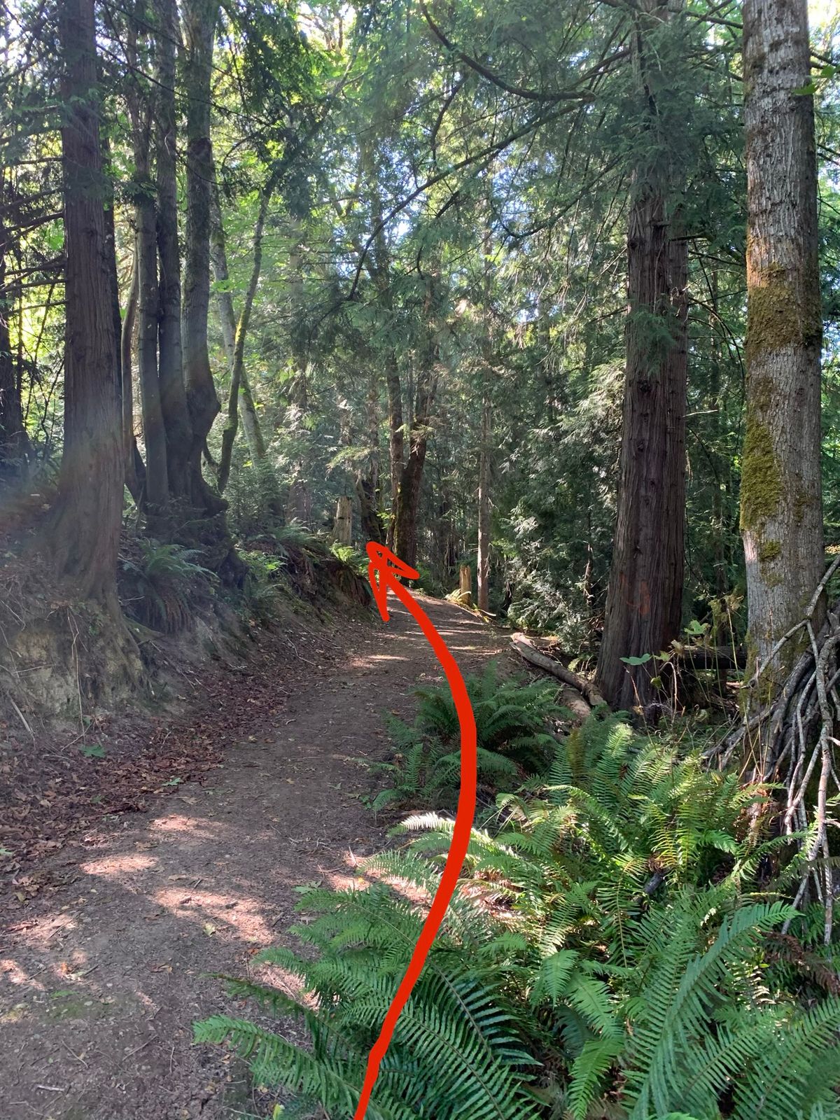 Hole 15, Part 1: Breakaway