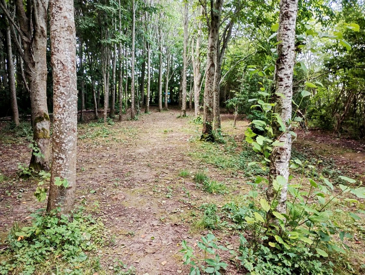 Hul 9