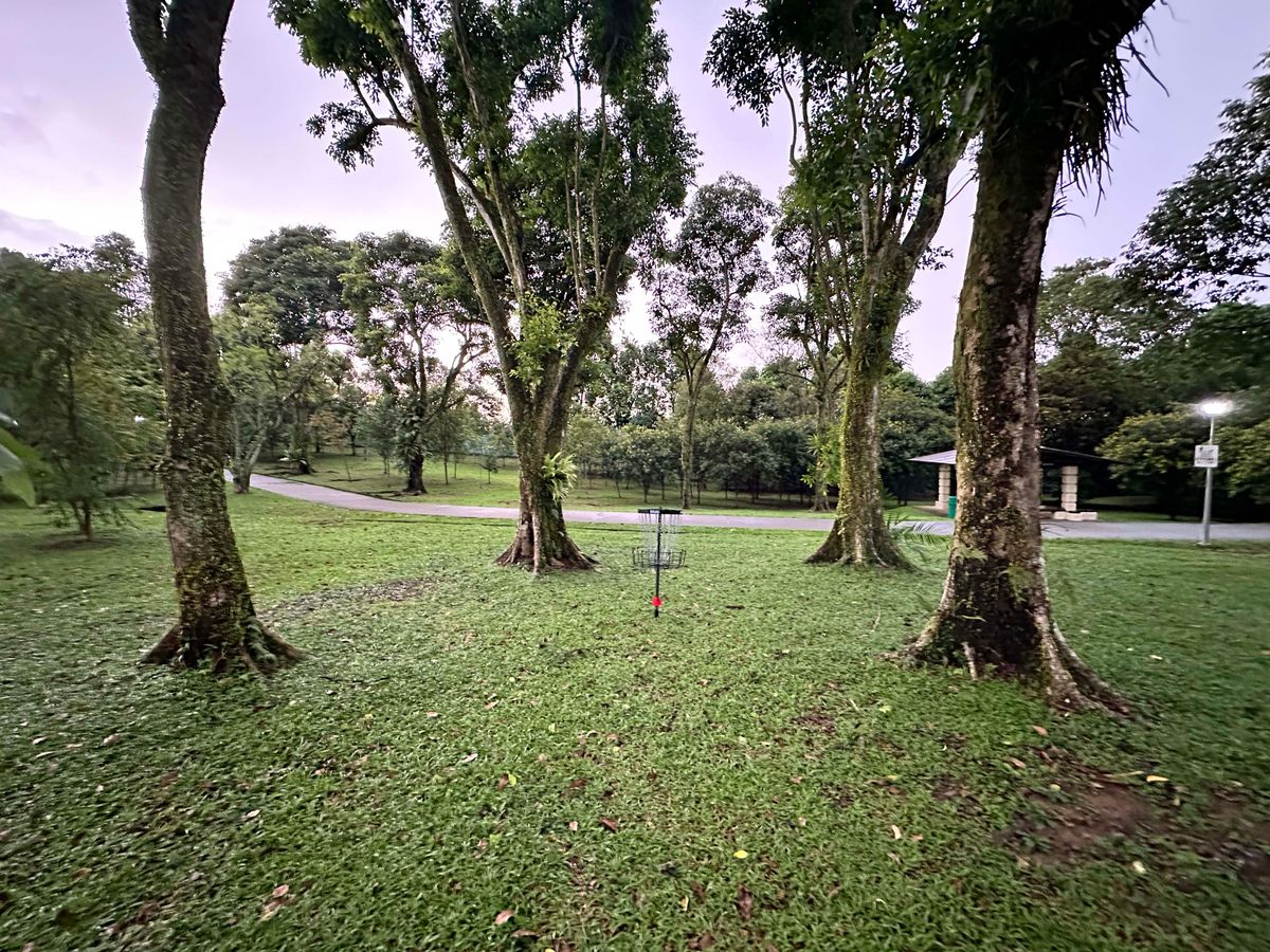 Hole 15 Basket