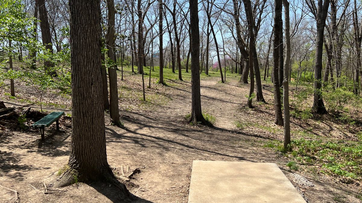 Hole 4