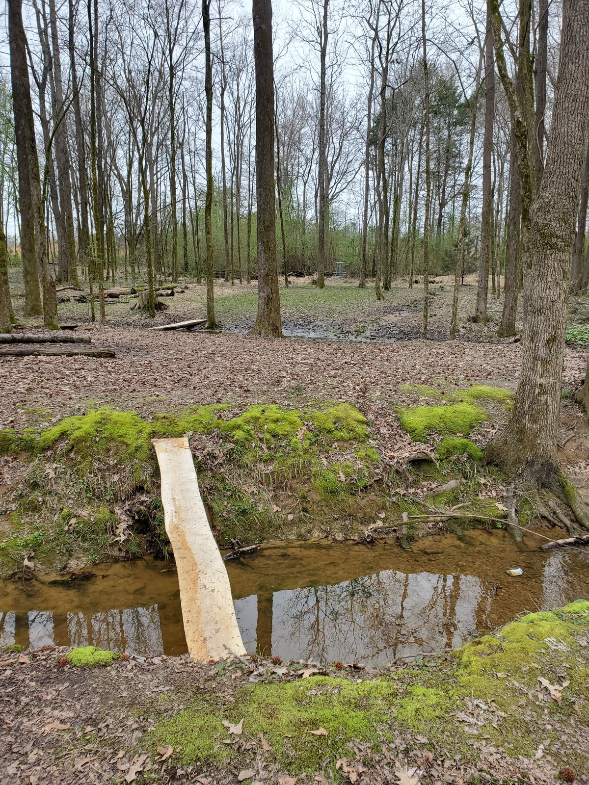 Hole #6