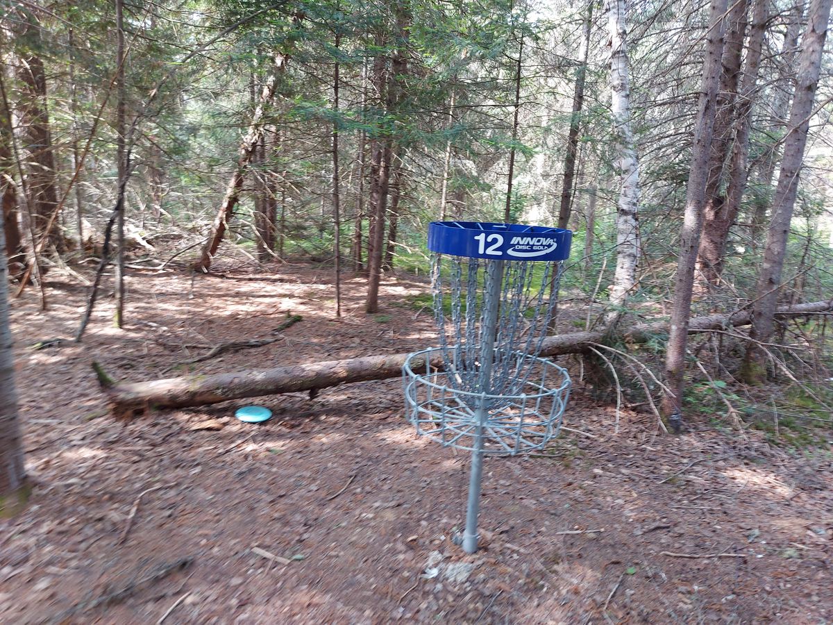 Putting on hole 12 🍁🌲🍁🌲🍁🌲
