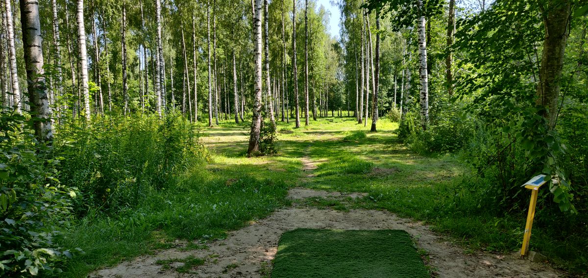 Hål 14, par 4. Nyckeln är ett rakt utkast. Annars är du lätt i skiten.