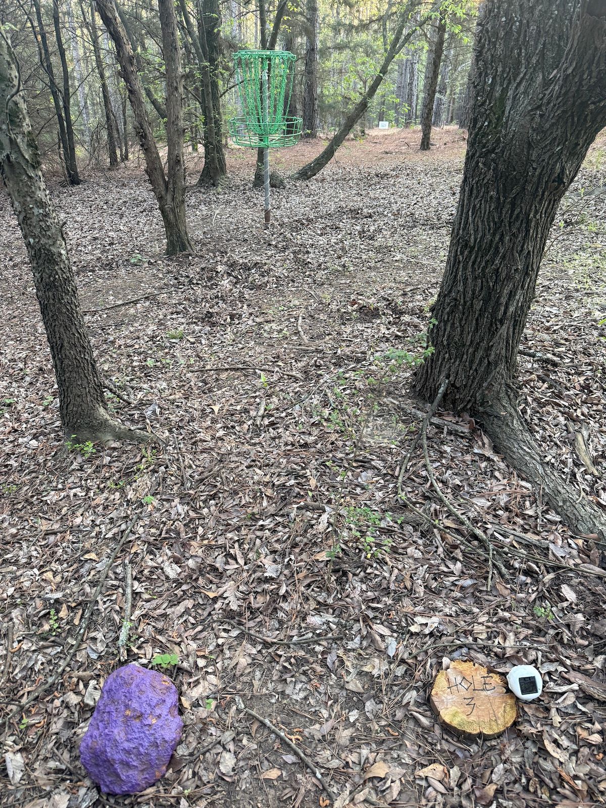 Hole 3 - Purple