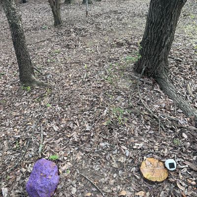 Hole 3 - Purple