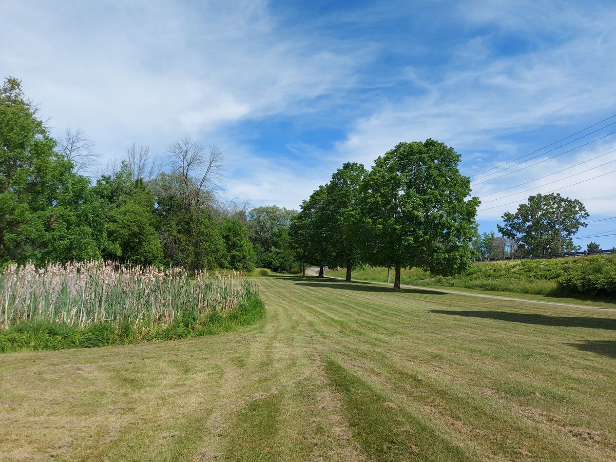 Fairway 4.🍁🌳🍂🍂🍁🌳