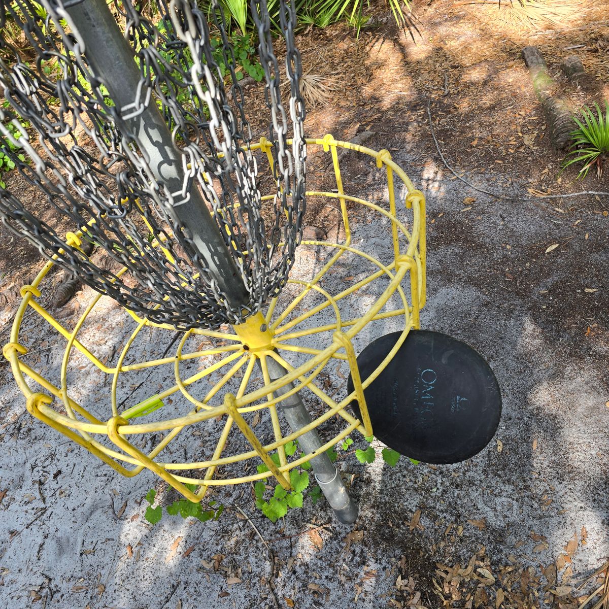 70 ft putt from the trees for birdie
Hole 4