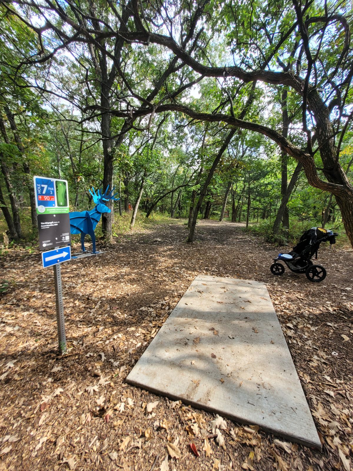 Hole 7 - straight, low shot