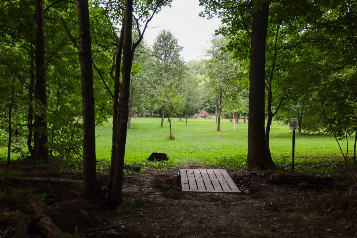 Hole 7 - long tee