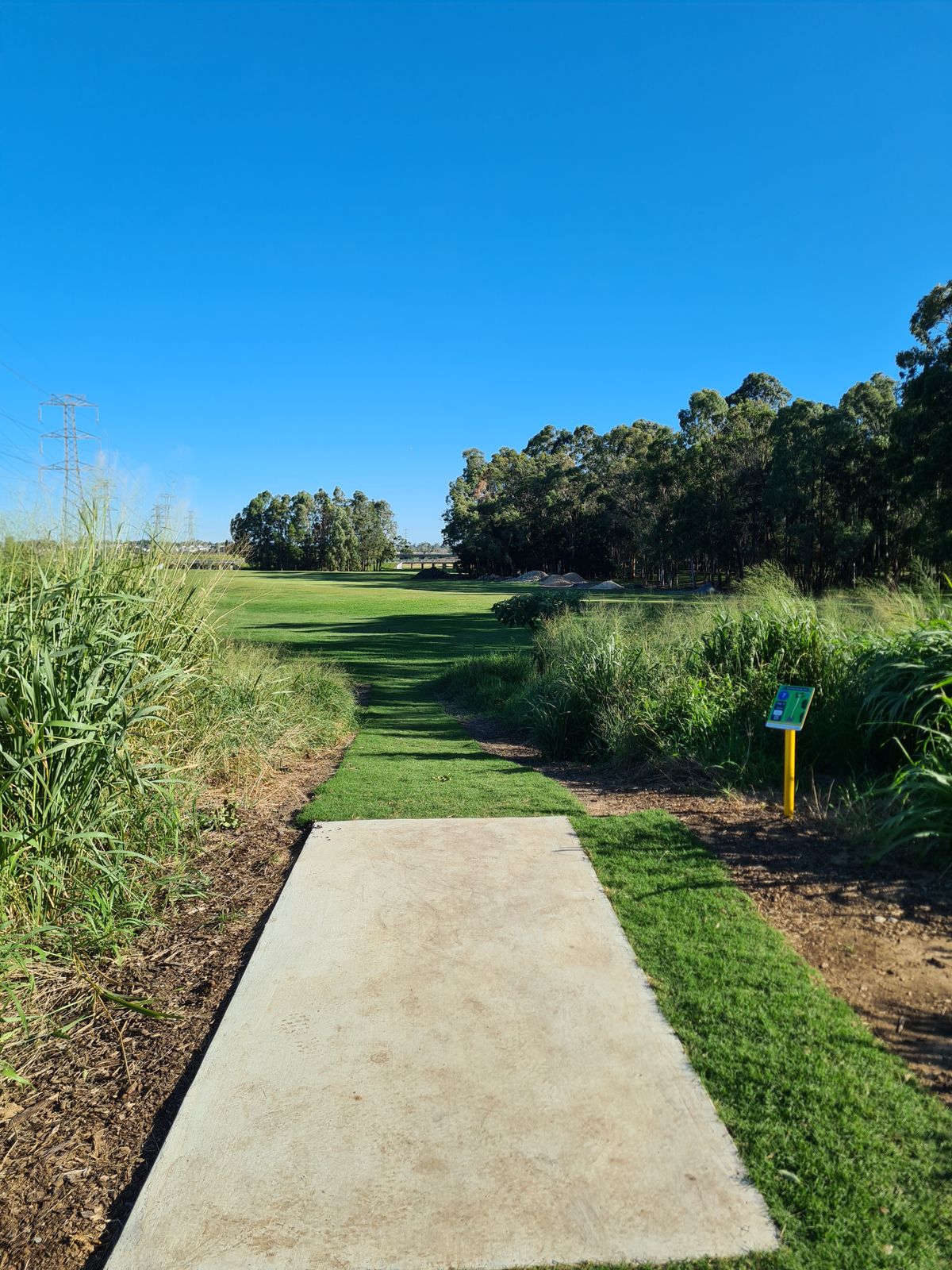 Hole 7B elevated tee.