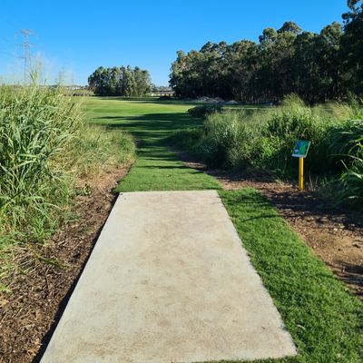 Hole 7B elevated tee.