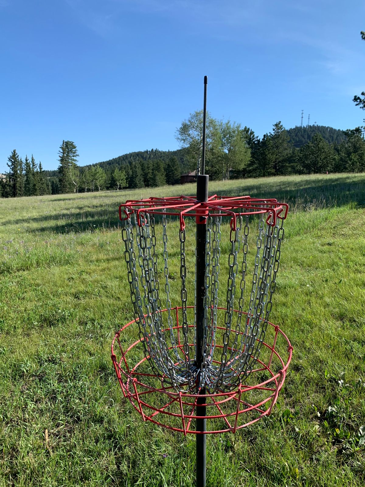 Basket #7