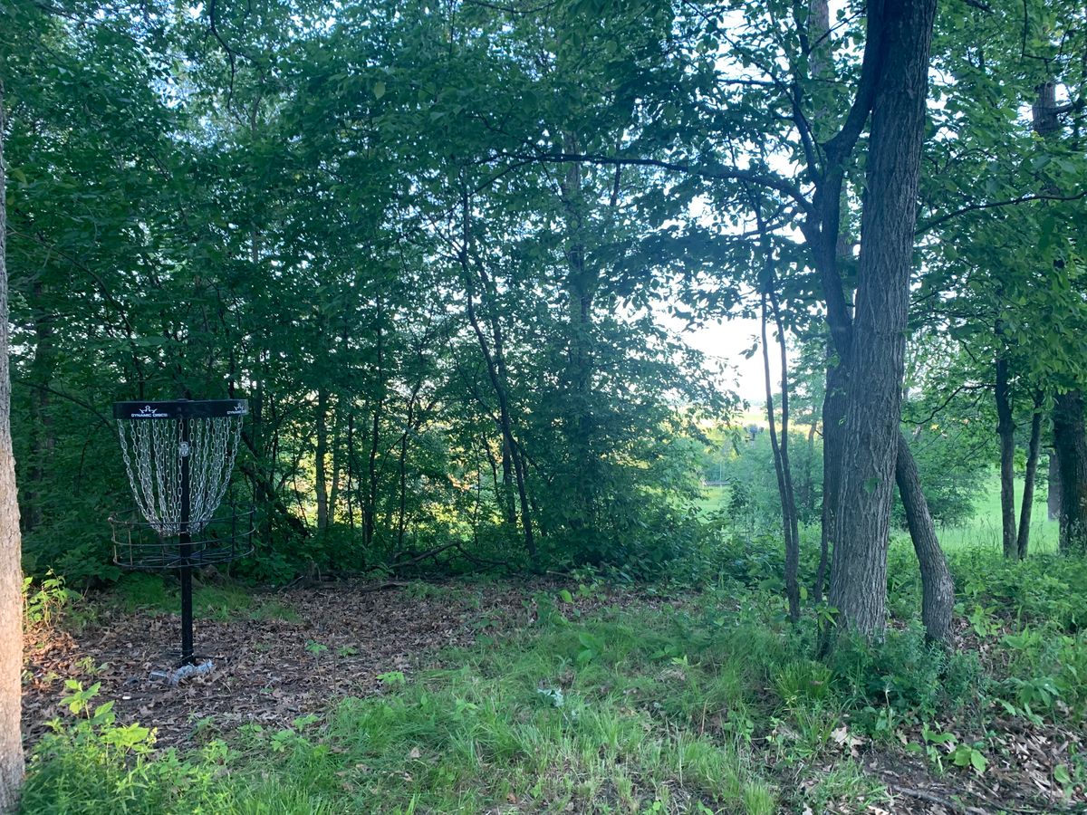 Hole 7 basket