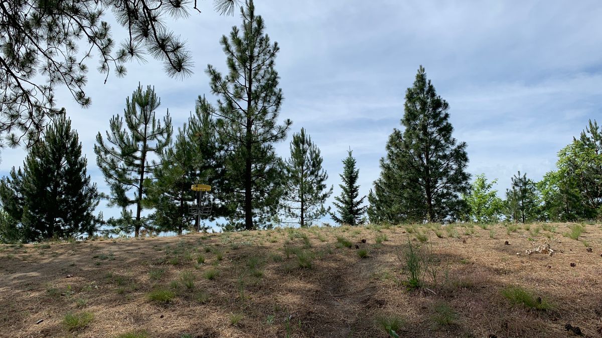 Hole 4