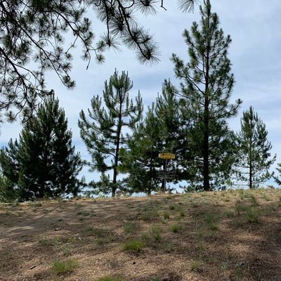Hole 4
