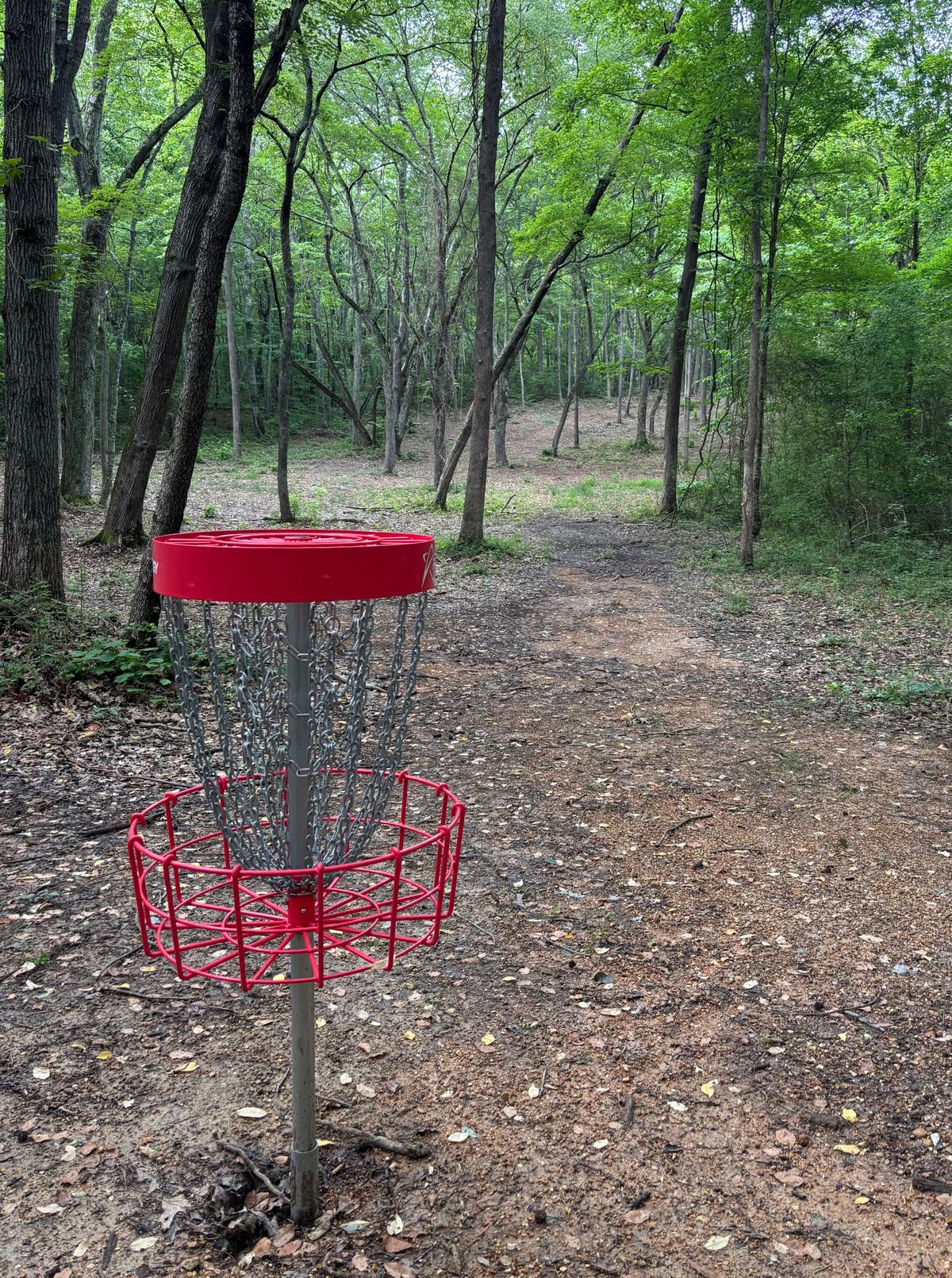 Hole #12 Basket to Tee