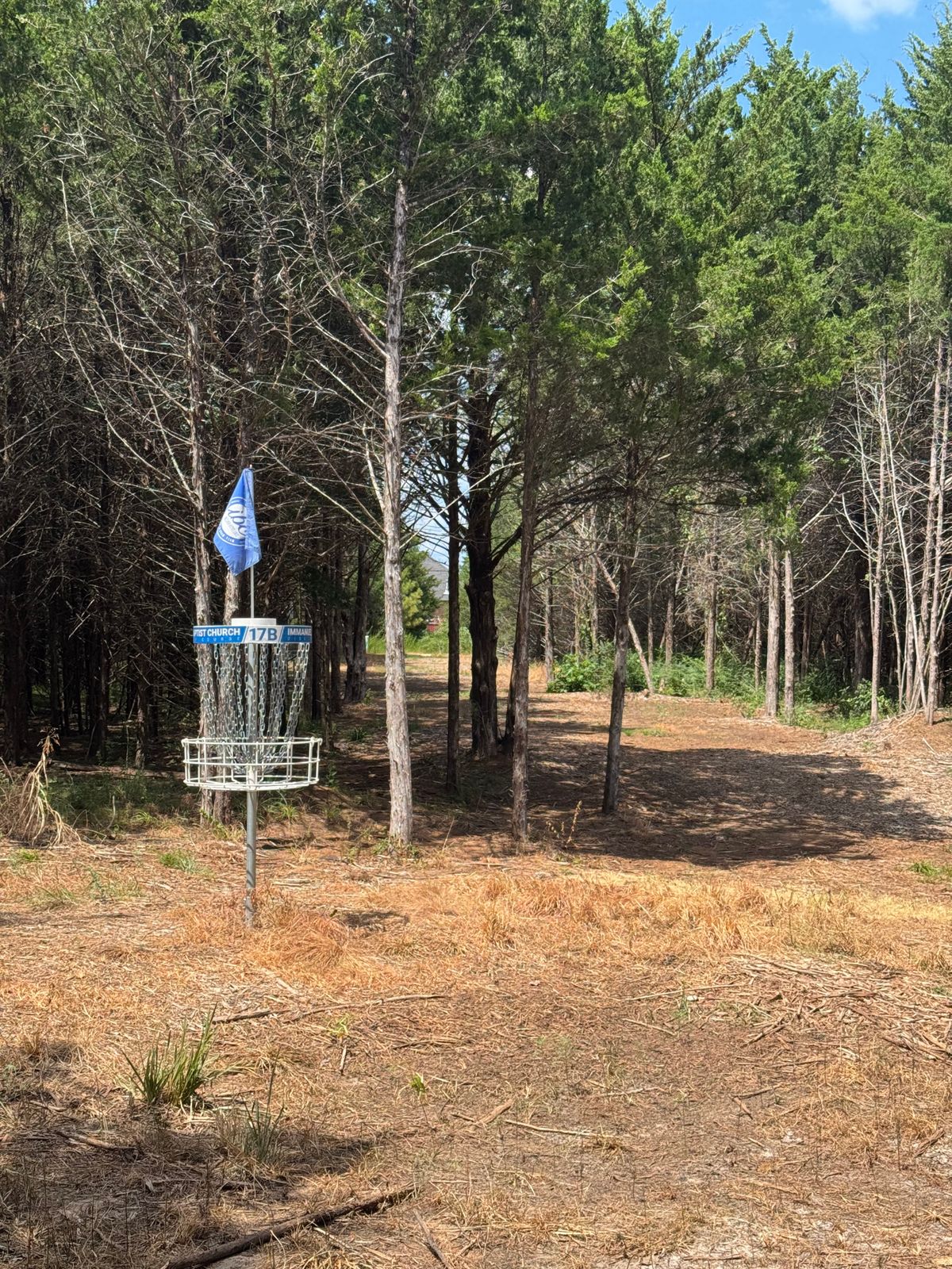 #17 long basket to tee
