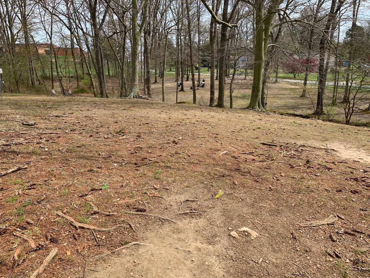 Hole 8 tee