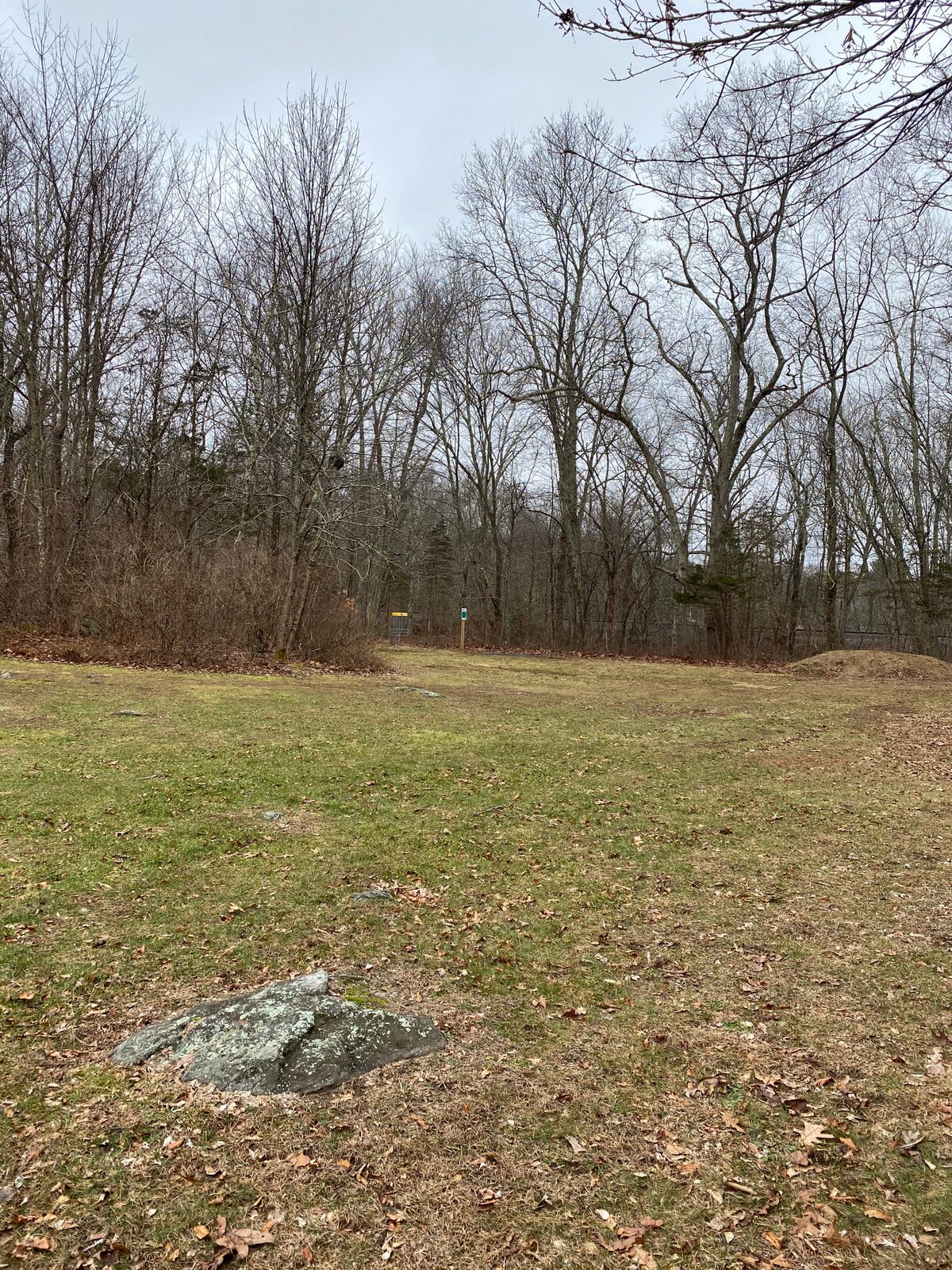 Hole 7  approach