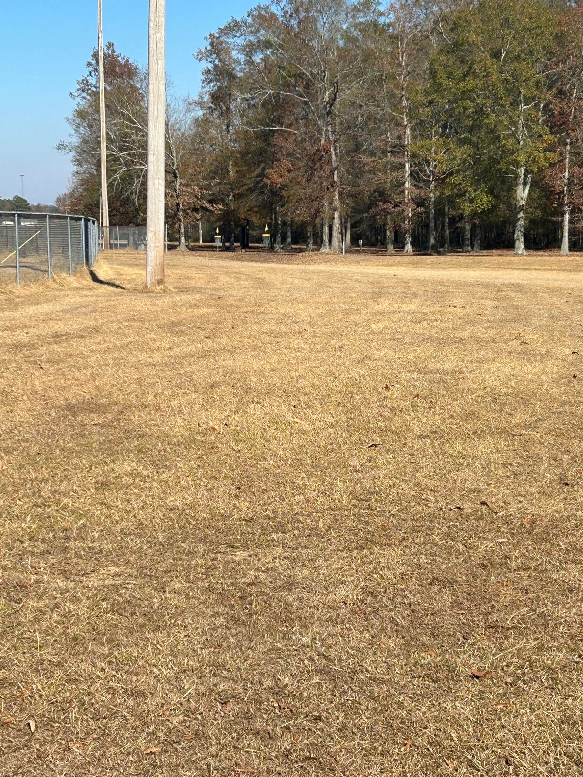 Hole 8 basket