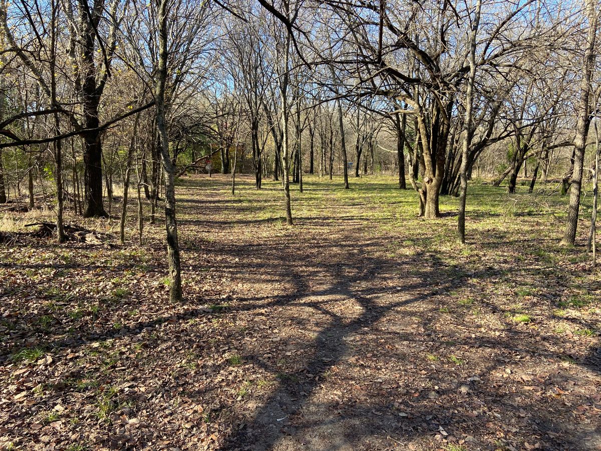Hole 6 off the tee