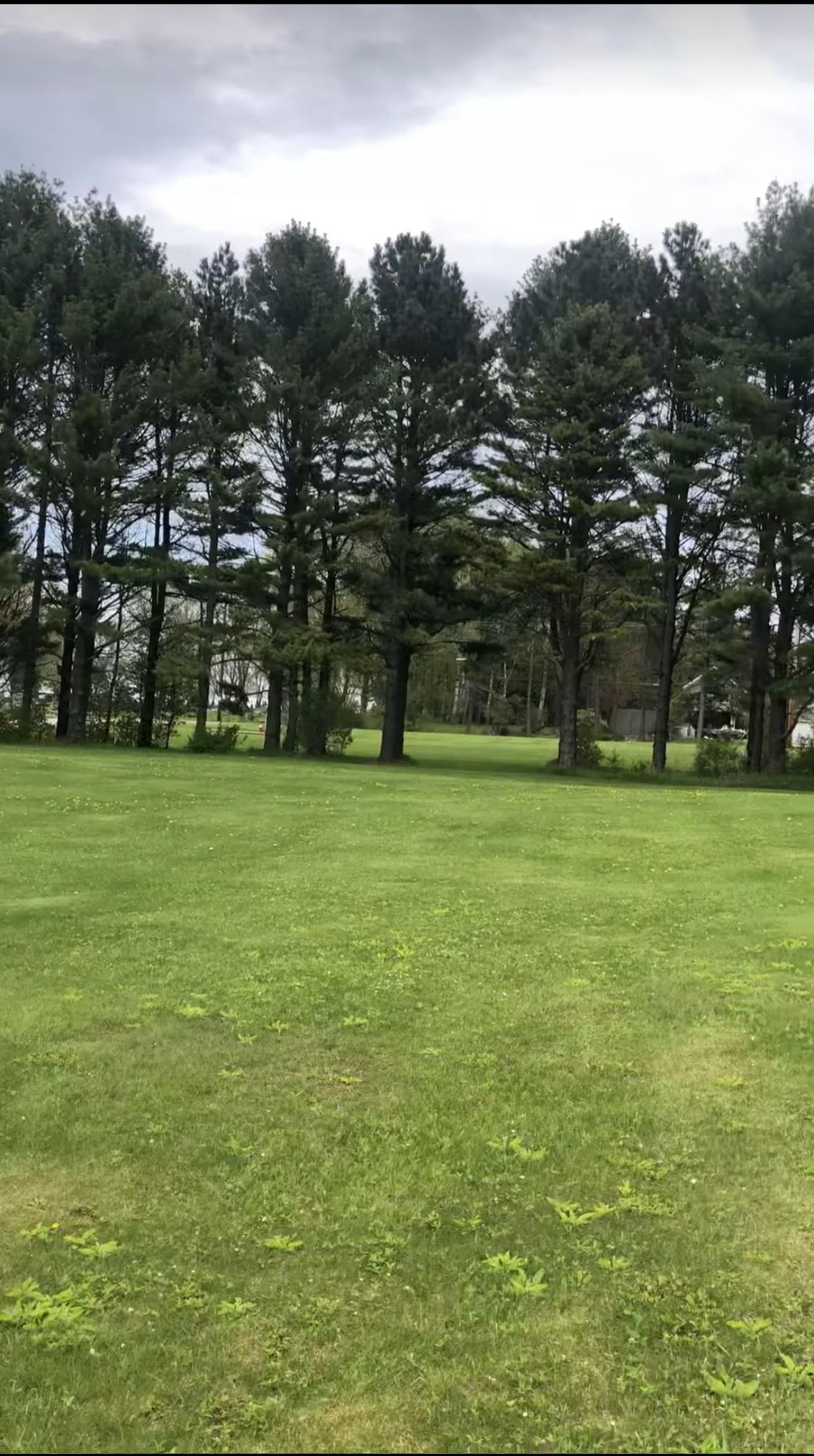 Hole 4