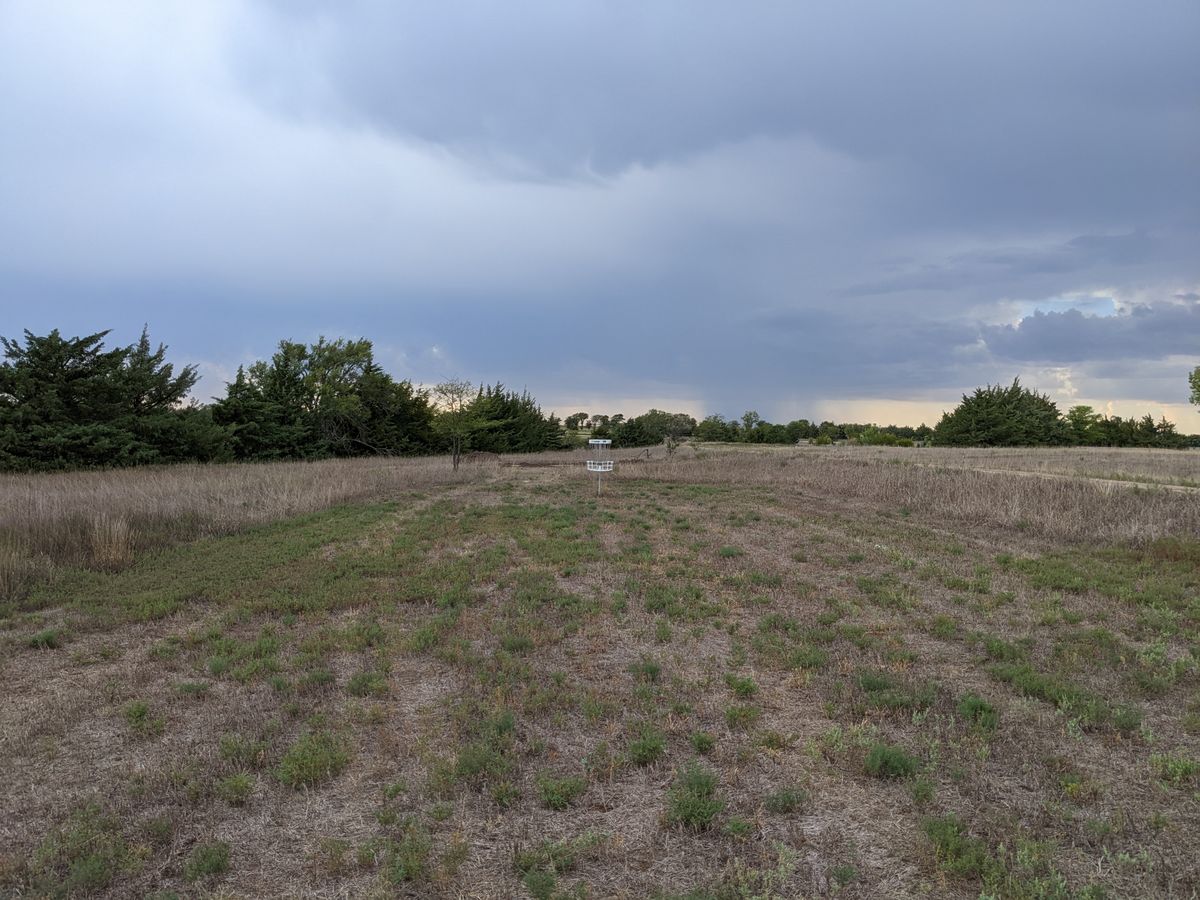 Hole 15 basket