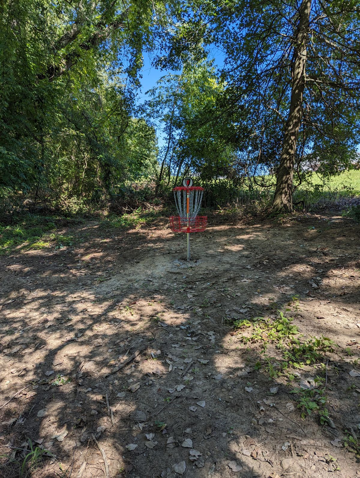 Hole 1 Basket