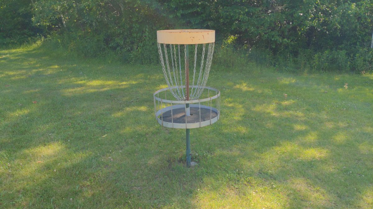 Older style baskets, not sure of brand or model.